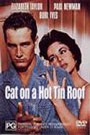 Cat On A Hot Tin Roof